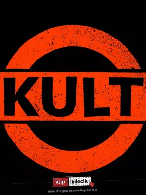 Koncert Kult w Rzeszowie