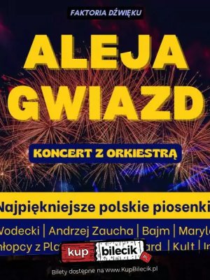 Aleja Gwiazd - koncert w Stalowej Woli