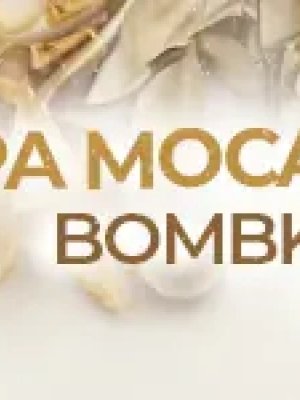 Grupa MoCarta - Bombkowy Koncert w Rzeszowie