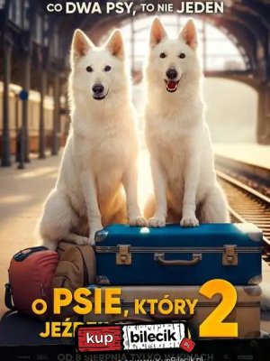 O psie, który jeździł koleją - pokaz filmowy w Rymanowie